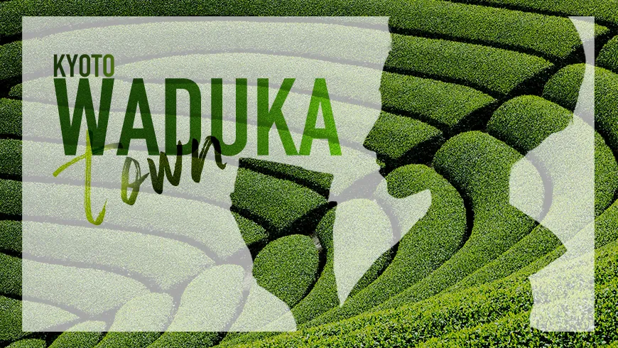 茶農家暮らし&絶景体験