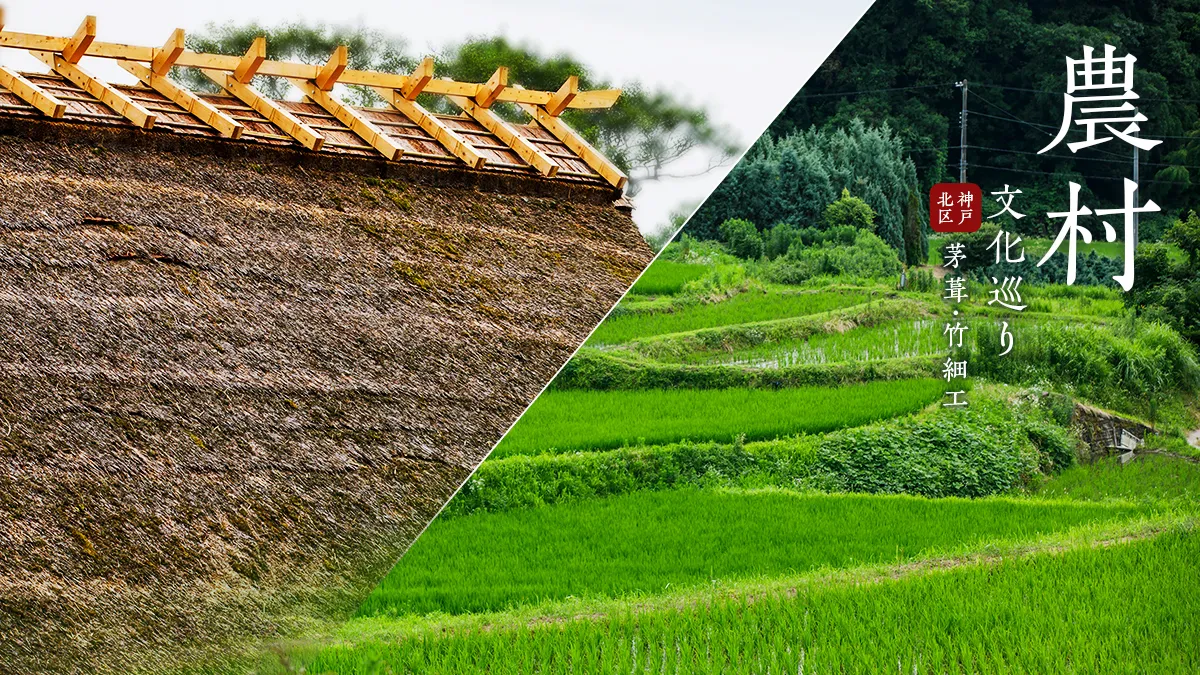 農村文化体験ツアー～日本の原風景と農村文化を堪能する
