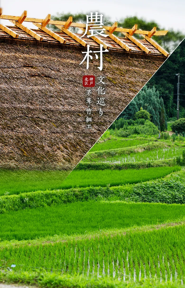 農村文化体験ツアー～日本の原風景と農村文化を堪能する