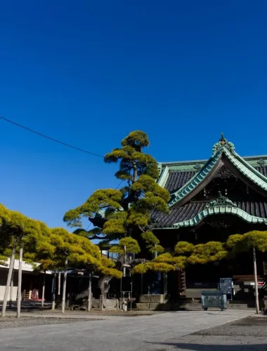 Tokyo Shibamata: Old Town Walk and Temple Culture