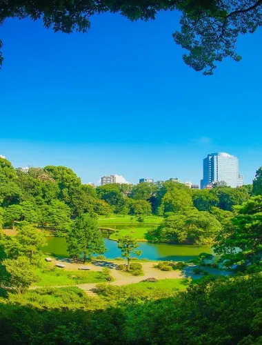 Tokyo: Edo-Period Rikugien Garden Walk with Matcha