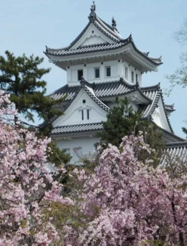 Ogaki Castle