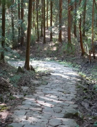 Iwamura Castle Ruins
