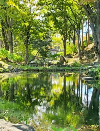Morioka Castle Ruins Park