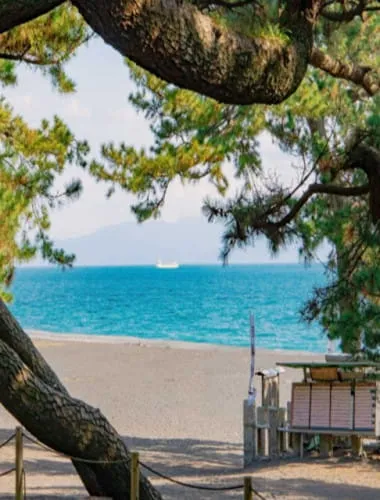 Miho-no-Matsubara