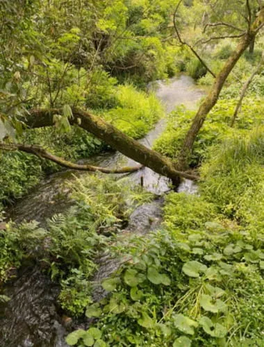 Kakitagawa River Park