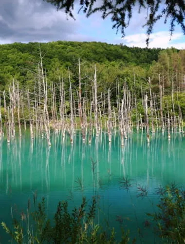 Shirogane Blue Pond