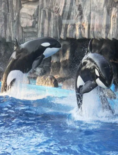 名古屋港水族館