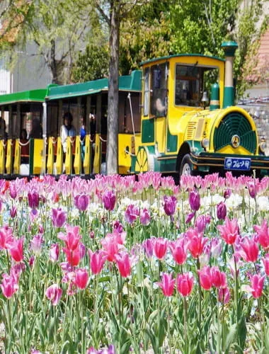 Shiga Agricultural Park "Blumen Hugel Farm"