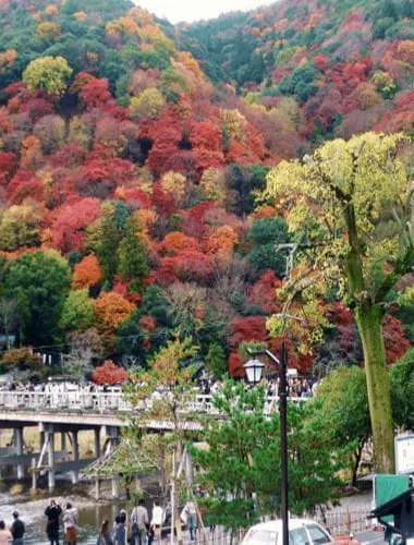 Arashiyama 