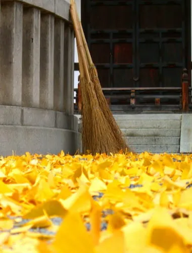 Nishi Honganji Temple