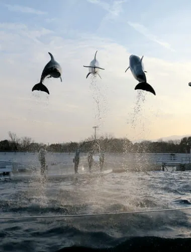 Kyoto Aquarium