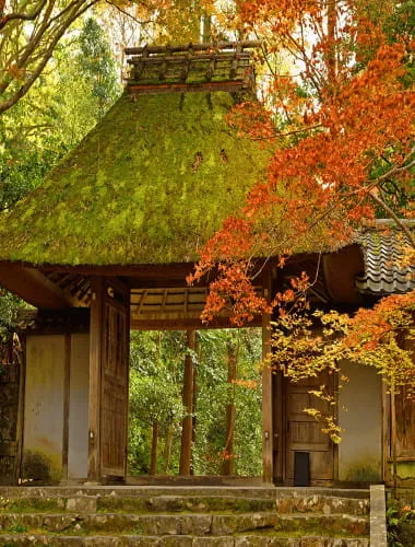 Honen-In Temple