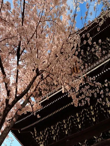 Konkai-Komyo-ji Temple
