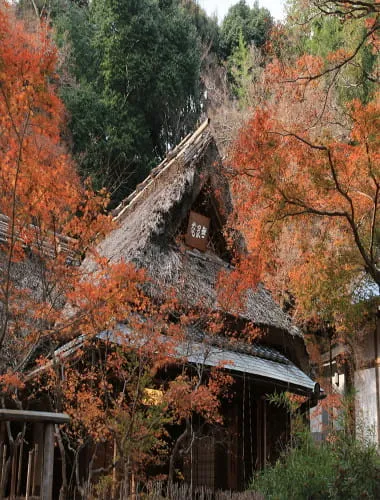 Hogon-in Temple