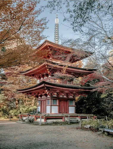 Joruriji Temple