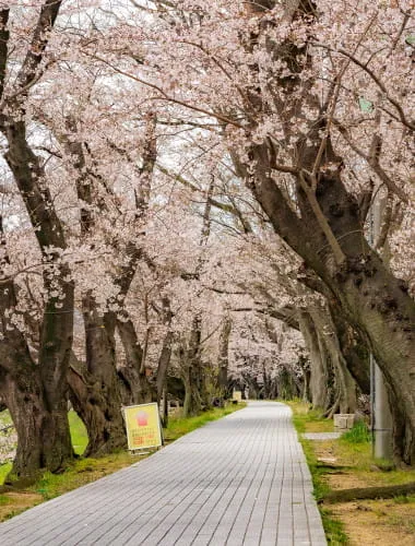 Yodogawa Riverside Park Sewaritei