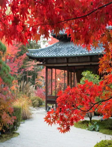 Tenjuan Garden