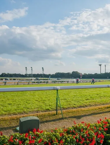 Kyoto Horse Race Track
