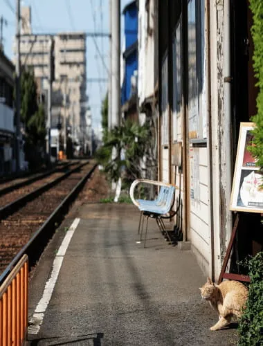 Nishinari