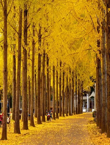 万博記念公園