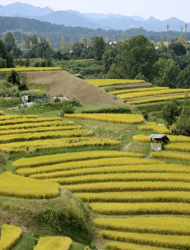 Kawachinagano