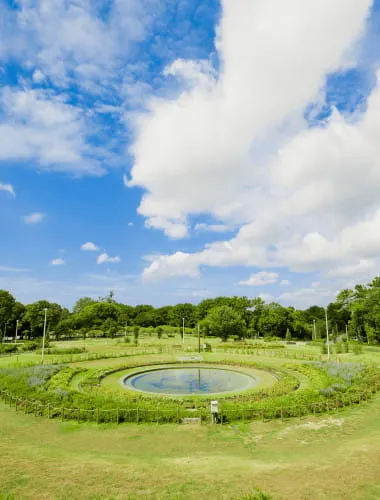 Hattori Ryokuchi Park