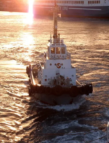 Meimon Taiyo Ferry