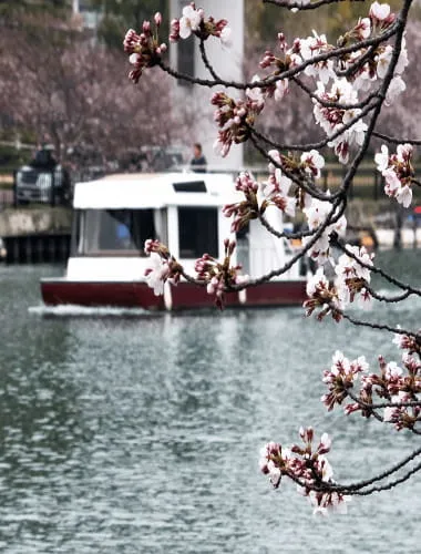 Kema Sakuranomiya Park