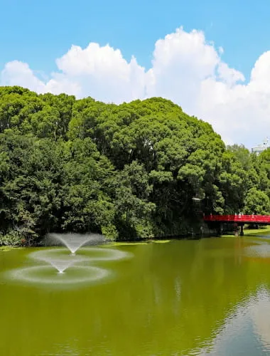 Kawazoko Pond