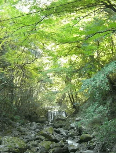 Inunaki Mountain