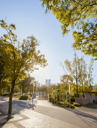 Ogimachi Park