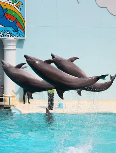 Suma Aqualife Park KOBE