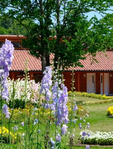 Hyogo Prefectural Flower Center