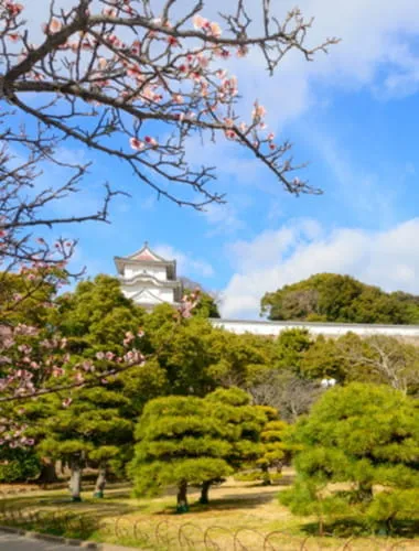 Akashi Park