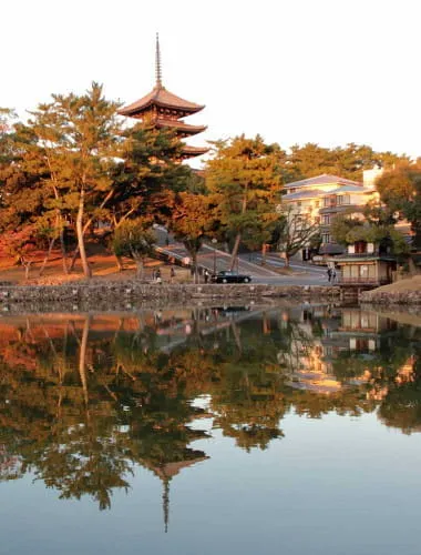 Sarusawa Pond