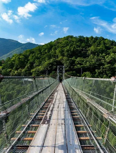 Tanize-no-Tsurihashi Bridge