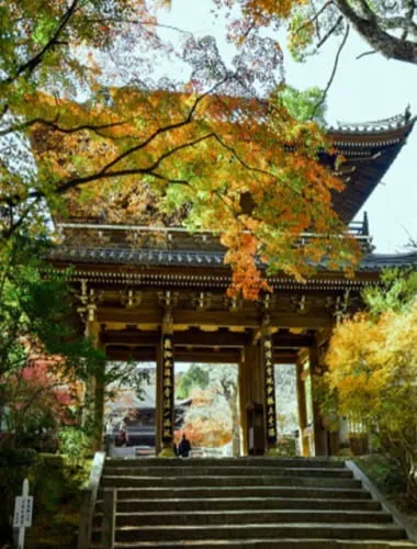 Kozanji Temple