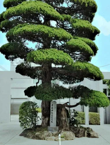 Nakahara Chuya Memorial Museum