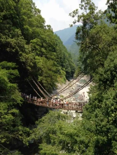 Iya Vine Bridge