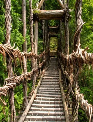 Oku-Iya Double Vine Bridges
