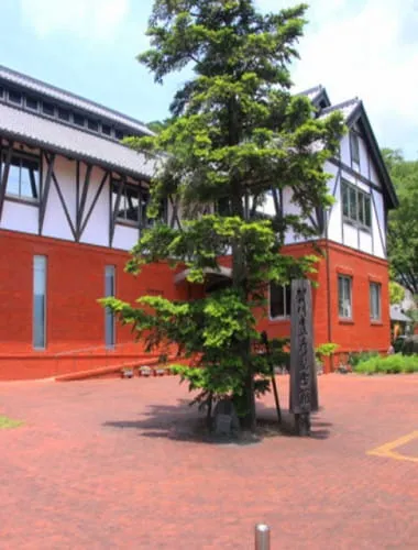 The Naruto German House