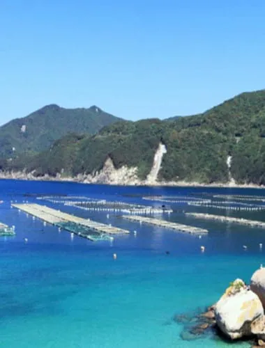 Kashiwa Island