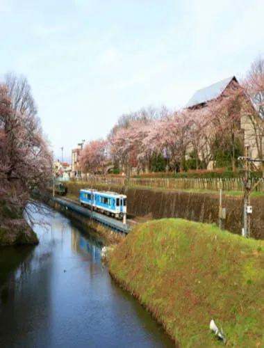 Kajo Park