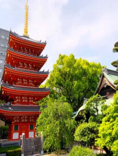 Tochoji Temple / Fukuoka Great Buddha