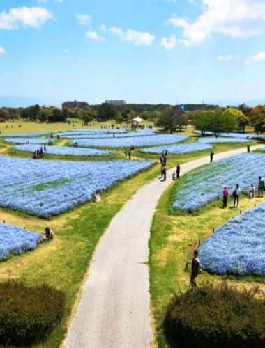 Uminonakamichi Seaside Park
