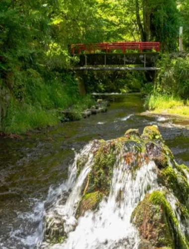Shirakawa water source
