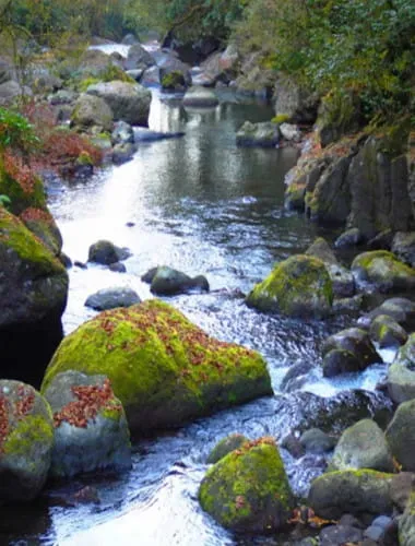 Kikuchi Gorge