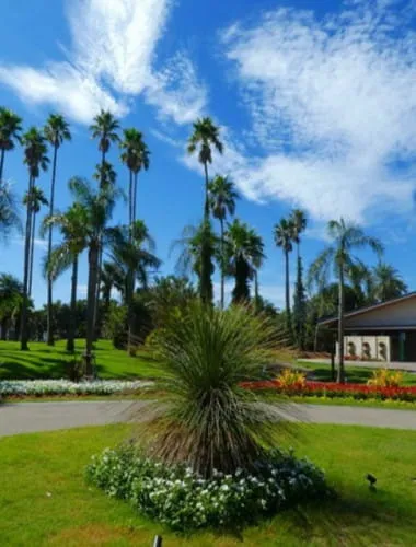 Miyako Botanic Garden Aoshima
