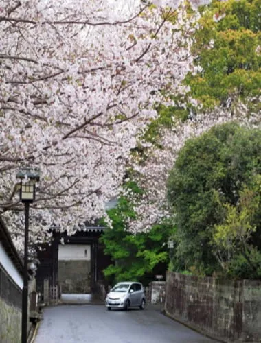 Obi Castle Town